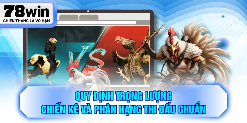 Quy định trọng lượng chiến kê và phân hạng thi đấu chuẩn